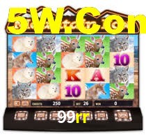 99rr casino